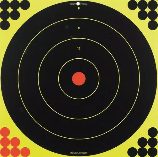 Birchwood Casey Shoot-N-C Bull 17.25″ Bull’s-eye Paper Targets 12/ct
