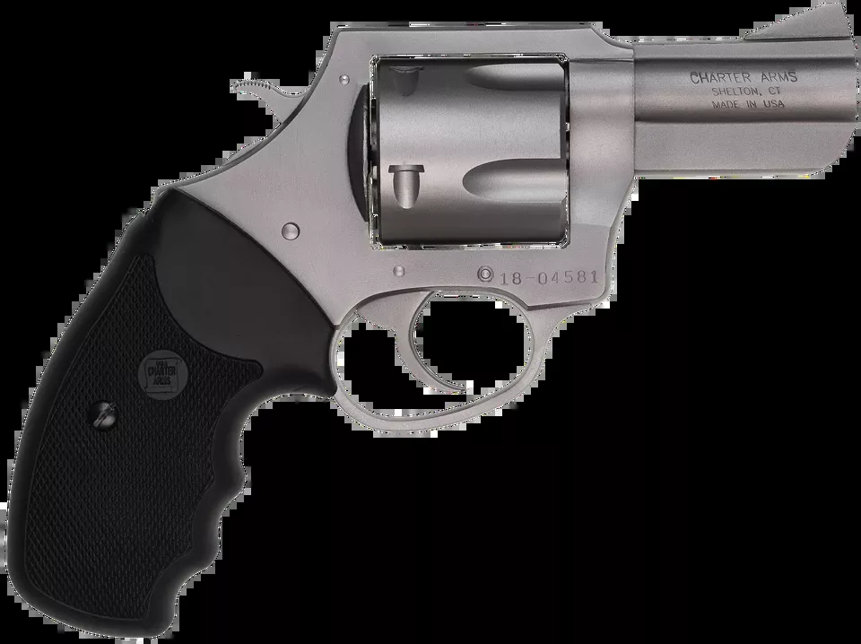 Charter Arms Bulldog .45 Colt Revolver - 2.5" Stainless Steel, 5-Shot, Rubber Grip