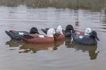 Game On Premier Series Paradise Duck Swimming Decoy Family: 6-Pack