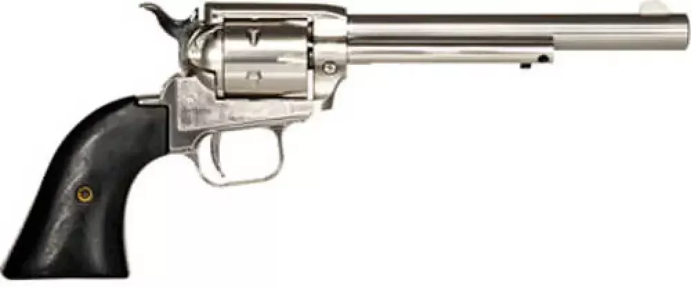Heritage Rough Rider Nickel Plated 22 Revolver: Backyard Ballistics Bliss!