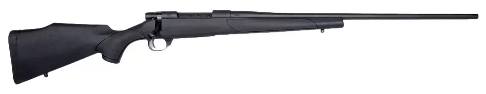 Wby Vanguard Obsidian 25-06REM 24